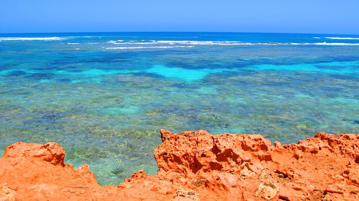 宁格鲁礁海洋公园，西澳大利亚