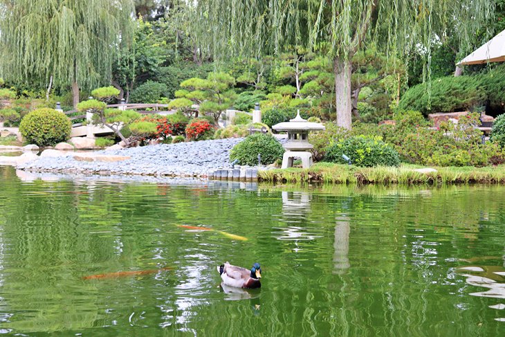 厄尔·伯恩斯米勒日本花园