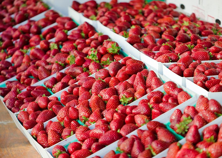 圣莫尼卡农贸市场的新鲜草莓
