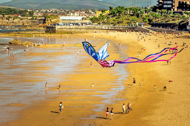 一只风筝在撒丁罗海滩上放飞