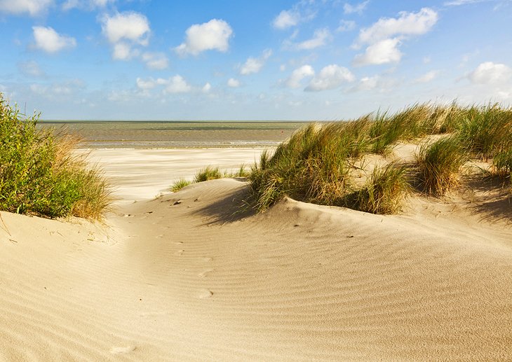 在Knokke-Heist海滩和沙丘