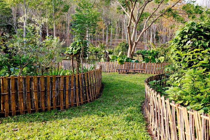 Pha泰德Ke植物园,琅勃拉邦