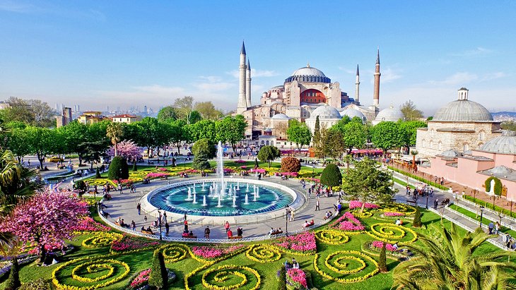 春天鲜花和伊斯坦布尔蓝色清真寺