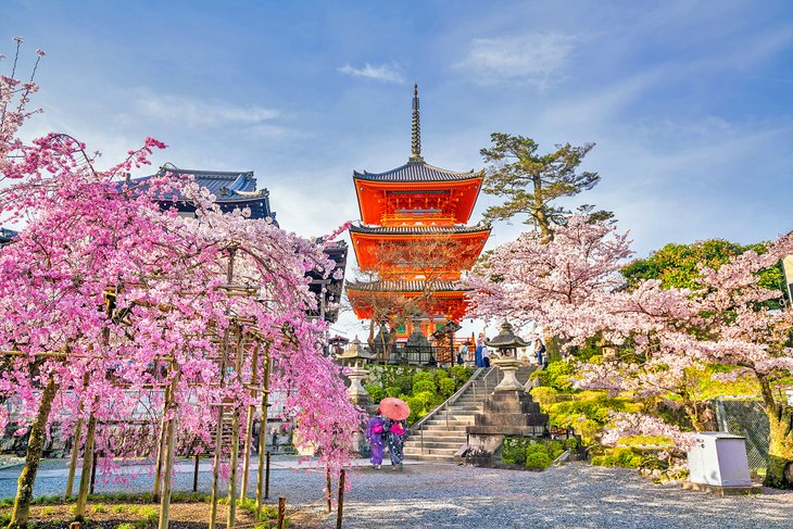 Kiyomizu-dera庙和京都的樱花
