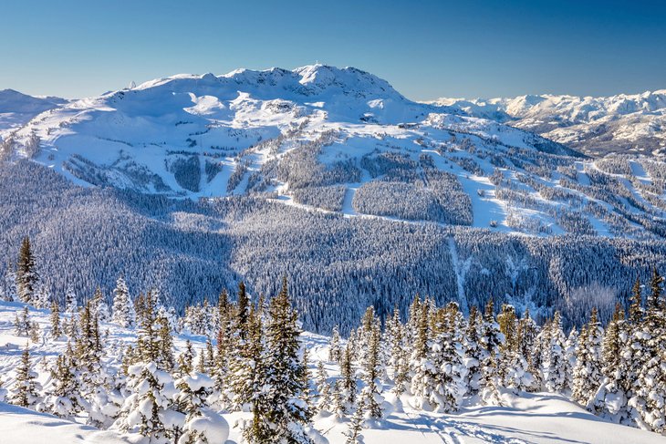 视图的惠斯勒滑雪区Blackcomb山