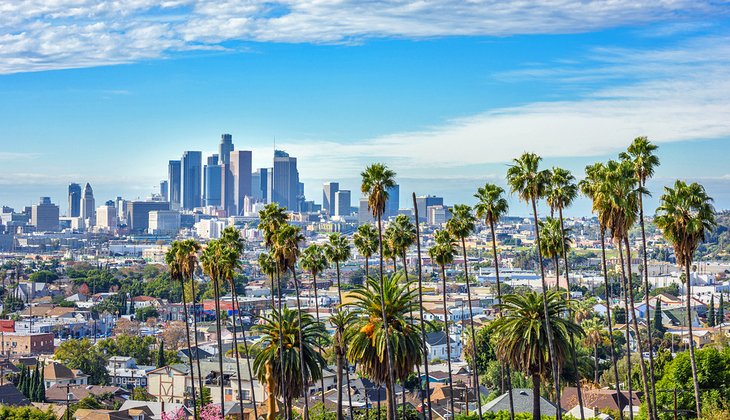 棕榈树和洛杉矶市中心的景色