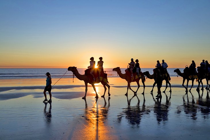 电缆沙滩上骑骆驼