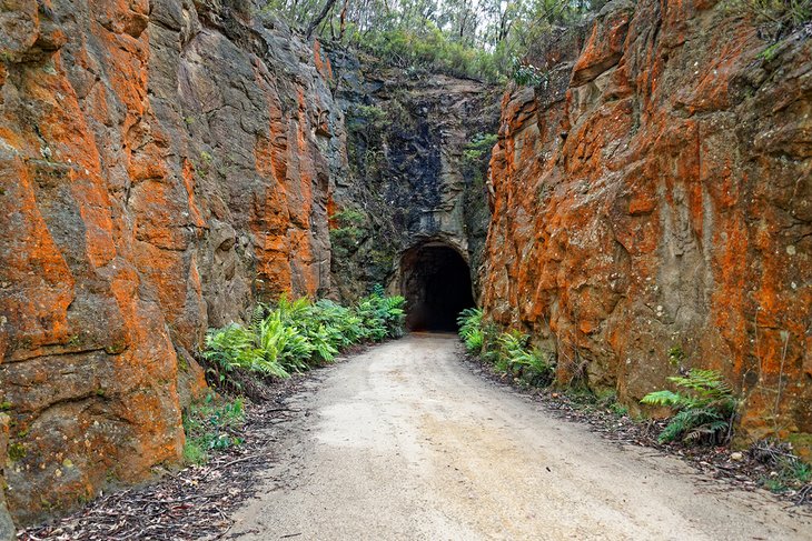萤火虫隧道，沃勒米国家公园