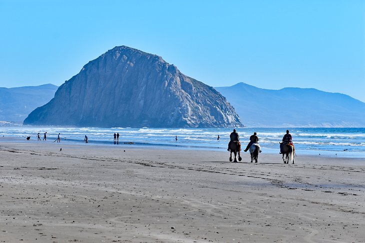 马在小丘湾的沙滩上