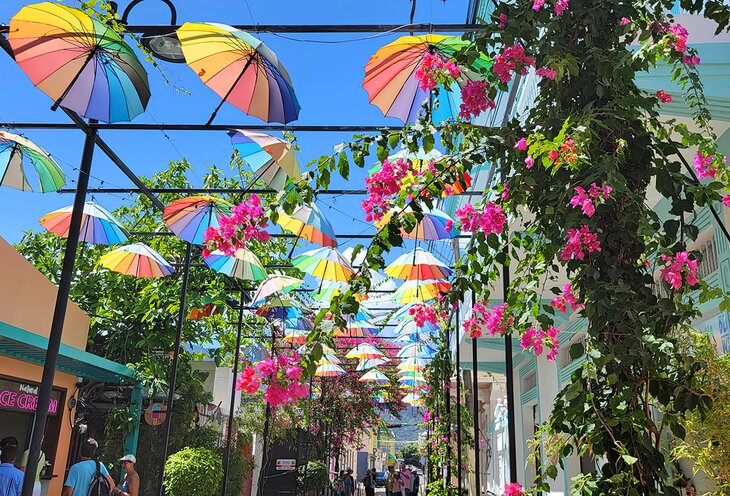 普拉塔港市中心的伞街