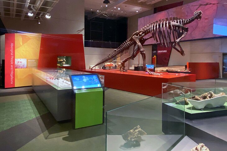 昆士兰博物馆的恐龙骨架